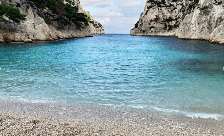 Reverdir le parc national des calanques en posidonies et mesurer le CO2 piégé