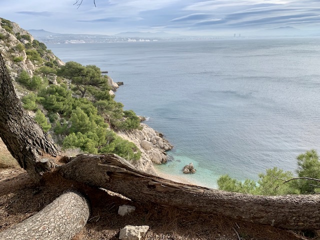 Des balises seront posées dans la zone du parc national des calanques pour éviter des mouillages destructeurs de posidonies.©NBC