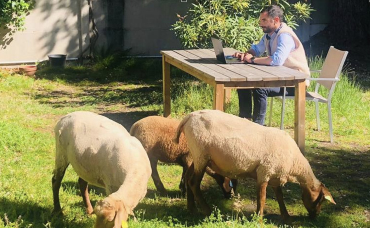 Le Mouton à 5 pattes accueille des collaborateurs spécifiques dans ses locaux de Marseille.