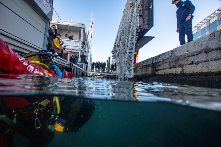 L’installation du filet géant dans les eaux du Vieux-Port. Photo©Guillaume Ruoppolo/Wallis