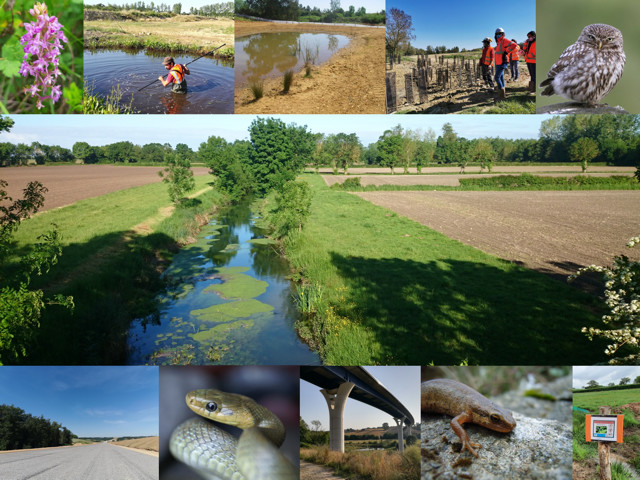 Le bureau d’études varois Seged va notamment se développer dans les solutions pour la restauration écologique des cours d’eau  et zones humides. Photo©Seged