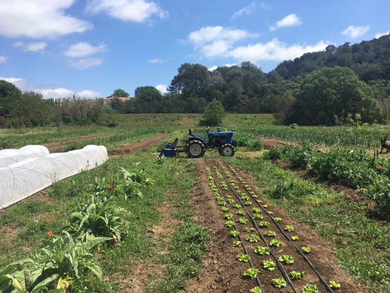 Urbavar a créé un potager géant pour ses salariés