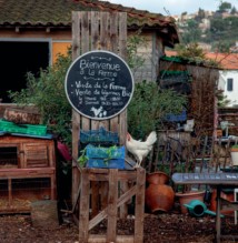 Photo Thierry Vaudé Photo Thierry Vaudé