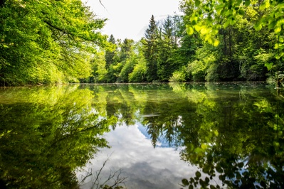 Rentalake structure la location de plans d’eau en France