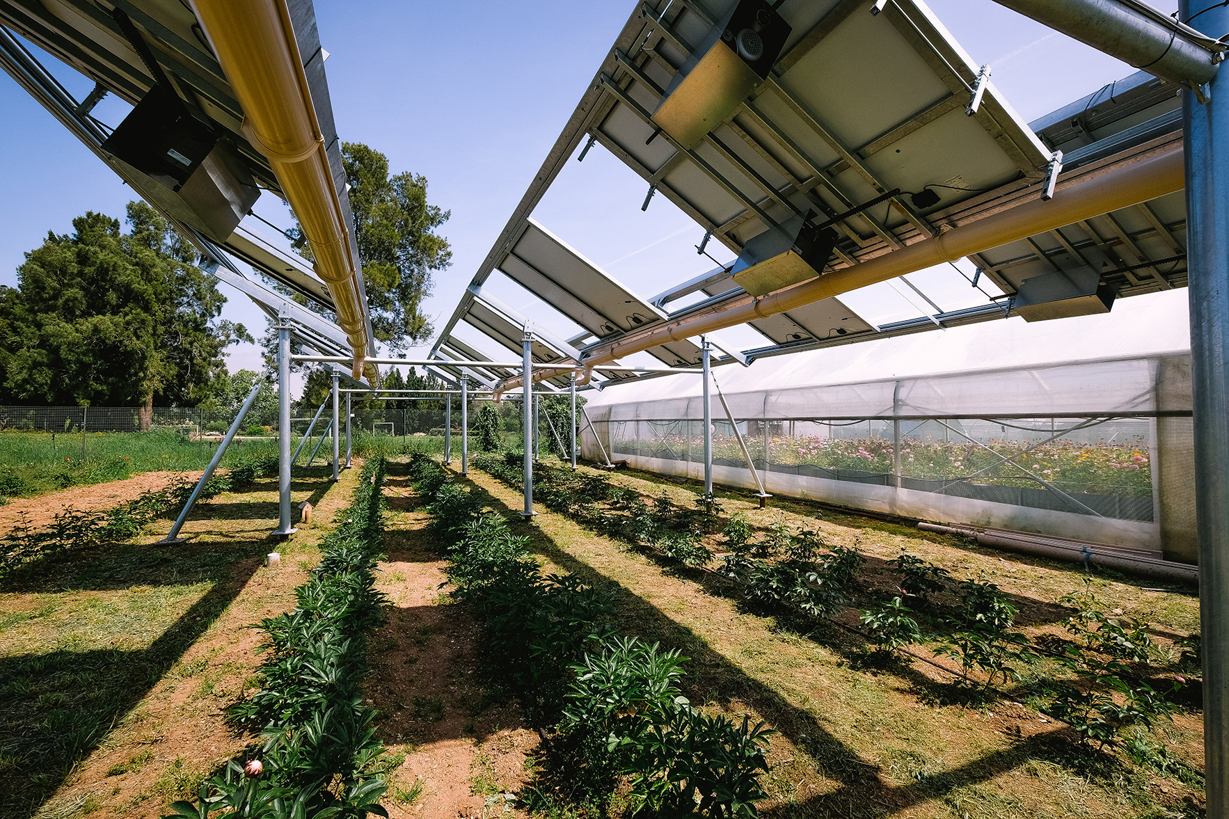 Ombrea lève 10 millions d’euros pour ses ombrelles agrivoltaïques