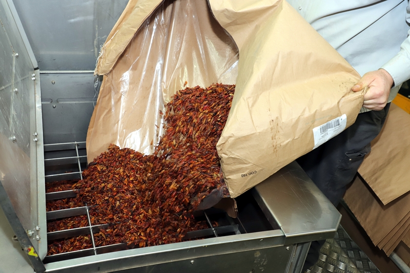 2500 tonnes d'épices sont triturées chaque année à Gémenos (photo: Cepasco/Robert Poulain)