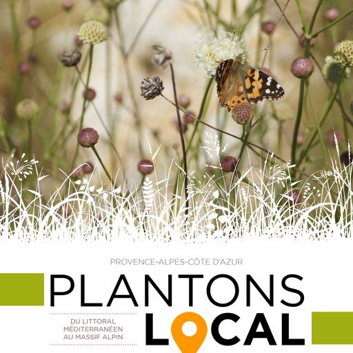 « Plantons Local »… Le nouveau guide pratique pour préserver la biodiversité
