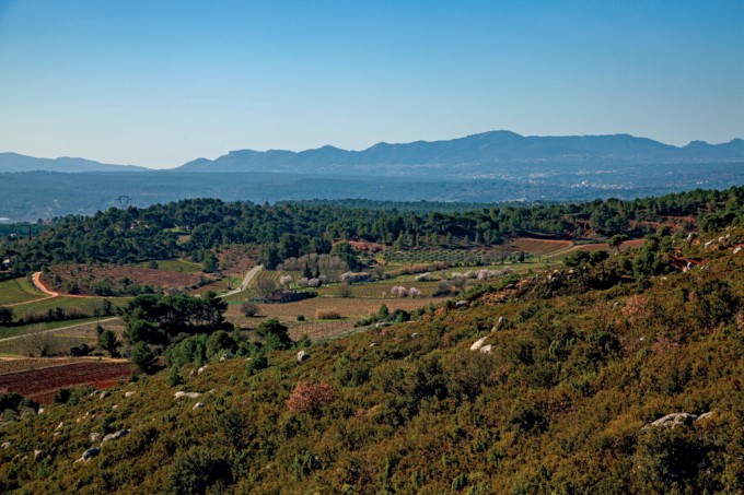 Photo Thierry Vaudé