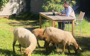 Le Mouton à 5 Pattes écolo et engagé !