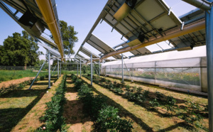 Ombrea lève 10 millions d’euros pour ses ombrelles agrivoltaïques