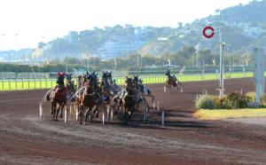 Les hippodromes de Marseille trottent pour l’AP-HM