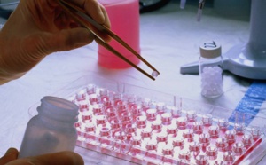 DocCity, biopôle pour les entreprises innovantes en santé, à Marseille en 2024