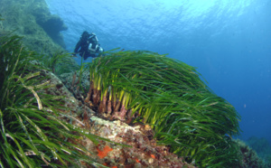 L’agence de l‘eau investit 110,6 M€ en Rhône-Méditerranée et Corse