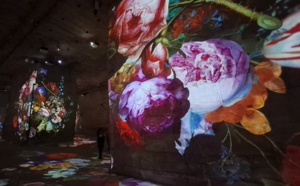 Culturespaces entre satisfaction et incertitude aux Baux-de-Provence