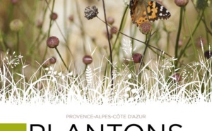 « Plantons Local »… Le nouveau guide pratique pour préserver la biodiversité