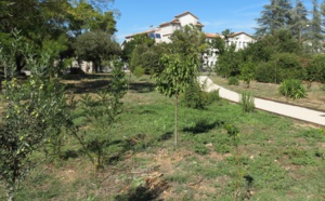 Cearitis s’offre un verger grandeur nature sur l’Arbois