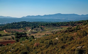 L'agriculture, un acteur clé de l’économie des Bouches-du-Rhône