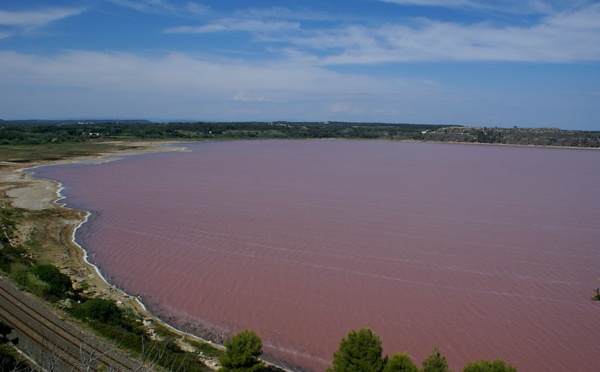 L'étang de Lavalduc, à Fos/Mer © DR