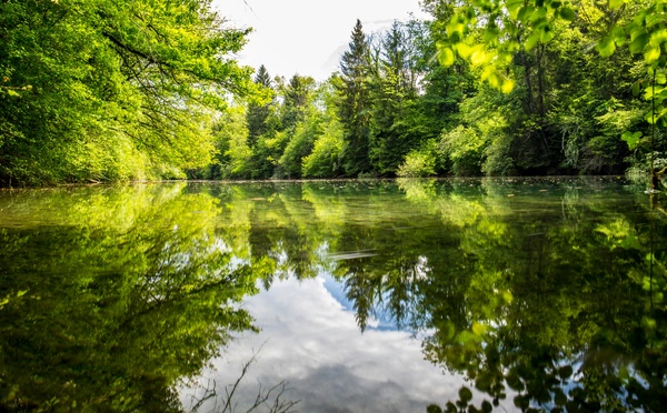 Rentalake structure la location de plans d’eau en France