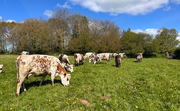Ferme du Manoir d'Anctoville. ©Feve