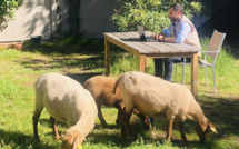 Le Mouton à 5 Pattes écolo et engagé !