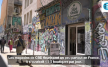 La CBD mania : Marseille au coeur d'un marché florissant