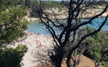 Vers une année 2022 "historique" pour le tourisme en Provence-Alpes-Côte d'Azur