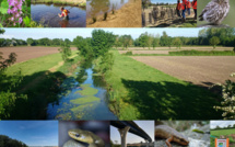 SEGED passe dans le giron d’ABO-Group Environment