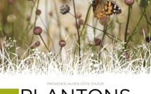 « Plantons Local »… Le nouveau guide pratique pour préserver la biodiversité