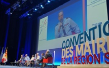 ​Les maires de France cherchent à renforcer leur sécurité et celle de leurs administrés