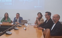 Salon-de-Provence dévoile le « projet du siècle » pour la ville